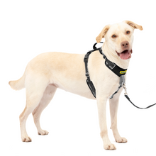 Charger l'image dans la galerie, Easy Walk® Comfort No-Pull Dog Harness
