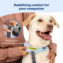 Charger l'image dans la galerie, Easy Walk® Comfort No-Pull Dog Harness