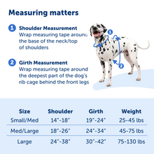 Charger l'image dans la galerie, Easy Walk® Comfort No-Pull Dog Harness