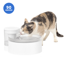 Load image into Gallery viewer, Outlast™ 90 oz Pumpless Pet Fountain