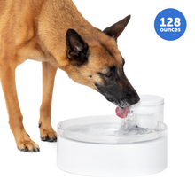 Load image into Gallery viewer, Outlast™ 128 oz Pumpless Pet Fountain