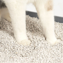 Load image into Gallery viewer, ScoopFree® Premium Natural Cat Litter 8 lb Bag