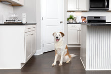 Load image into Gallery viewer, SSSCAT® Automatic Spray Pet Deterrent