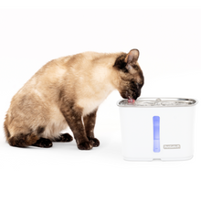 Load image into Gallery viewer, Viva™ Pet Fountain, 64 oz, Stainless Steel Tray