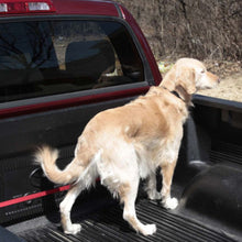 Load image into Gallery viewer, PupZip Zipline