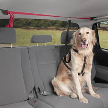 Load image into Gallery viewer, PupZip Zipline