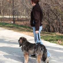 Charger l'image dans la galerie, Harnais arrière seulement CareLift