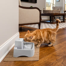 Charger l'image dans la galerie, Fontaine pour animaux de 1,8 litres Drinkwell®