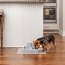 Charger l'image dans la galerie, Fontaine pour animaux de 1,8 litres Drinkwell®