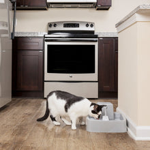 Charger l'image dans la galerie, Fontaine pour animaux de 3,7 litres Drinkwell®