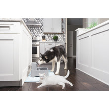 Charger l'image dans la galerie, Fontaine pour animaux de 7,5 litres Drinkwell®