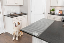 Load image into Gallery viewer, ScatMat™ Indoor Training Mat