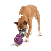 Charger l'image dans la galerie, Barnacle, un ami très occupé