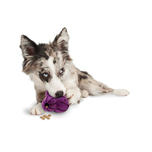 Charger l'image dans la galerie, Barnacle, un ami très occupé