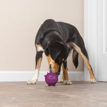 Charger l'image dans la galerie, Busy Buddy Cow-Wow