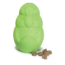 Charger l'image dans la galerie, Busy Buddy™ Puppy Squirrel Dude™