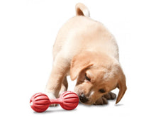 Charger l'image dans la galerie, Busy Buddy™ Puppy Waggle™