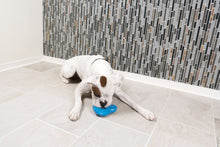 Charger l'image dans la galerie, Pingouin frais