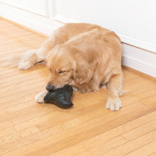 Load image into Gallery viewer, Squeak 'n Treat Ninja Star