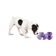 Charger l'image dans la galerie, Busy Buddy™ Champignon magique™