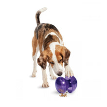 Charger l'image dans la galerie, Busy Buddy™ Champignon magique™