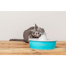 Charger l'image dans la galerie, Fontaine à eau papillon Drinkwell® de PetSafe™ pour animaux de compagnie