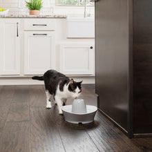Load image into Gallery viewer, Streamside Ceramic Pet Fountain