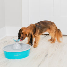 Charger l'image dans la galerie, Fontaine à eau papillon Drinkwell® de PetSafe™ pour animaux de compagnie