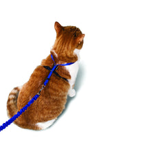 Charger l'image dans la galerie, Harnais pour chat et laisse Easy Walk®