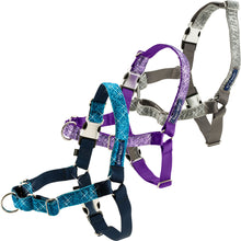 Charger l'image dans la galerie, Harnais Easy Walk® Bling