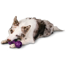 Charger l'image dans la galerie, Busy Buddy Waggle