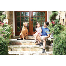 Load image into Gallery viewer, Rechargeable In-Ground Fence™ System