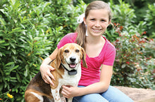 Load image into Gallery viewer, Rechargeable In-Ground Fence™ System