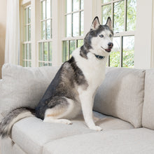 Load image into Gallery viewer, Rechargeable Bark Control