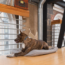 Load image into Gallery viewer, Rechargeable Bark Control