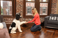 Load image into Gallery viewer, Elite Pendant™ Remote Trainer