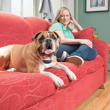 Charger l'image dans la galerie, Système de dressage 600 mètres