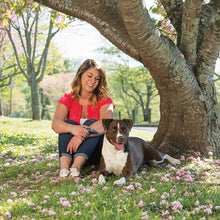 Charger l'image dans la galerie, Système de dressage 900 mètres standard