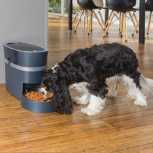 Charger l'image dans la galerie, Distributeur de croquettes connecté Smart Feed de PetSafe® pour chiens et chats