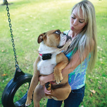 Load image into Gallery viewer, Stubborn Dog In-Ground Fence™ System