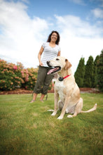 Load image into Gallery viewer, In-Ground Fence™