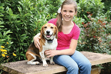 Load image into Gallery viewer, Rechargeable Add-A-Dog® Extra Receiver Collar