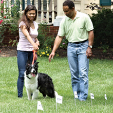 Charger l'image dans la galerie, Fil et fanions supplémentaires