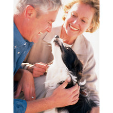 Charger l'image dans la galerie, Système de dressage à ultrasons sans collier