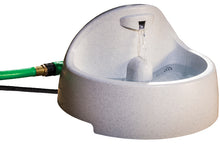 Charger l'image dans la galerie, Drinkwell® Everflow Fontaine pour animaux de compagnie intérieure/extérieure