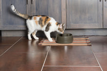 Charger l'image dans la galerie, Fontaine avec flux d'eau PetSafe® pour animaux de compagnie