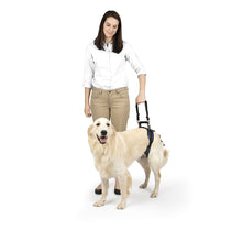 Charger l'image dans la galerie, Harnais de levage arrière CareLift™ de PetSafe®