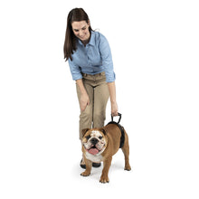 Charger l'image dans la galerie, Harnais de levage arrière CareLift™ de PetSafe®