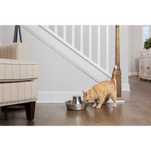 Charger l'image dans la galerie, Fontaine en acier inoxydable bord de mer PetSafe® pour animaux de compagnie