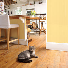 Load image into Gallery viewer, SSSCAT® Spray Deterrent